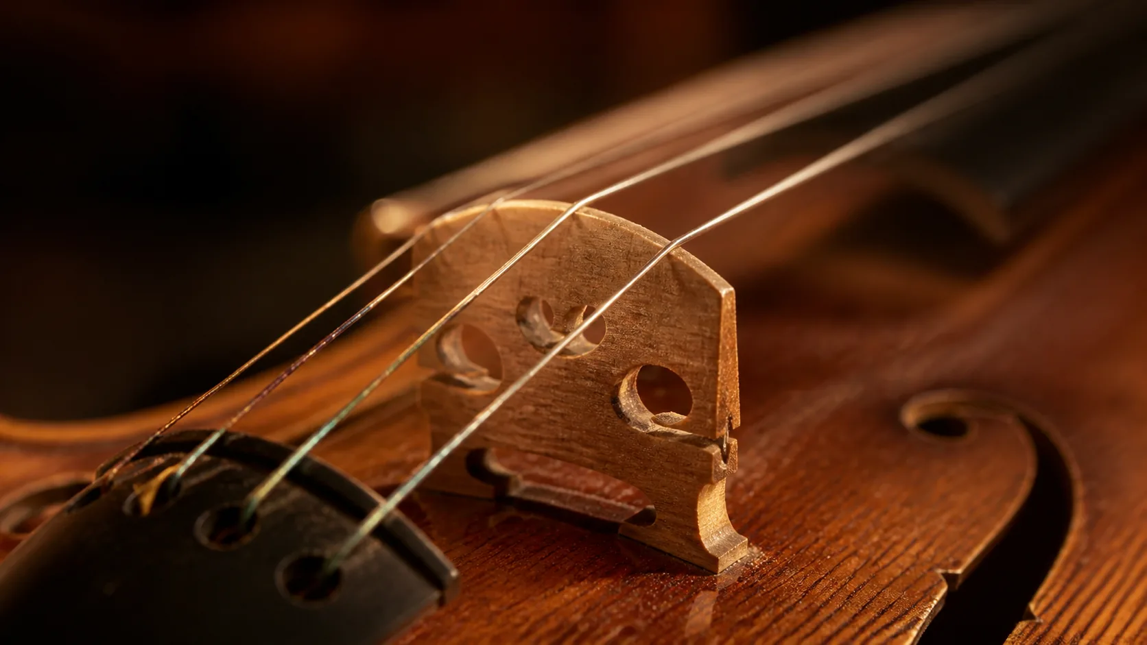 Die Salzburger Musikszene: Wer hier spielt und wo